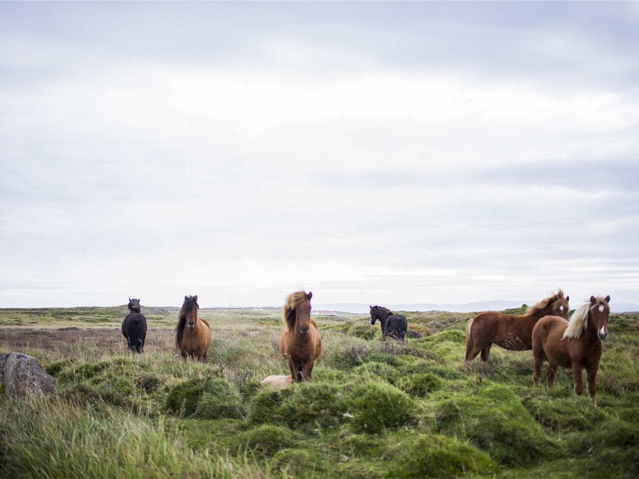 Renewable & modular systems — placeholder; replace with real project photography