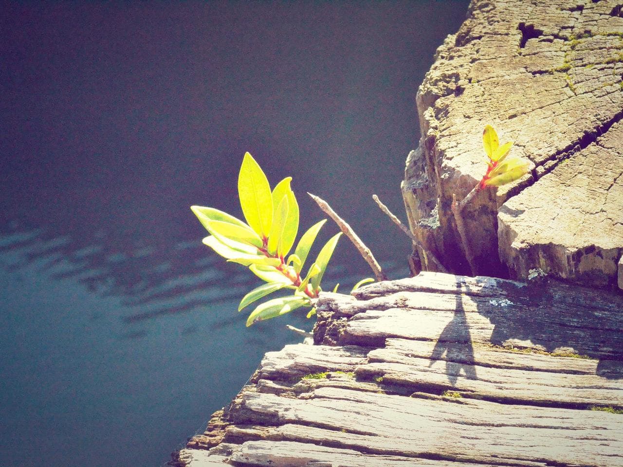 Project resourcing & workforce support — placeholder; replace with real project photography